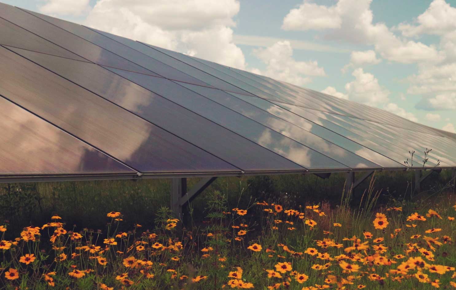 Solar Panel